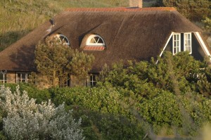 Haus mit Hecke
